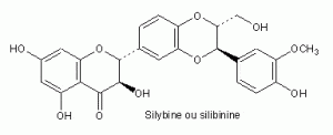 chardon marie silybine